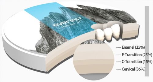 Zr Disc EVEREST ML  PT 98 x 25 mm B3