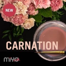 ТРАНСЛУЦЕНТ Carnation (Карамфил)