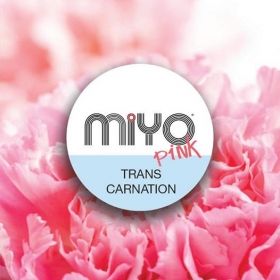 Транс Carnation